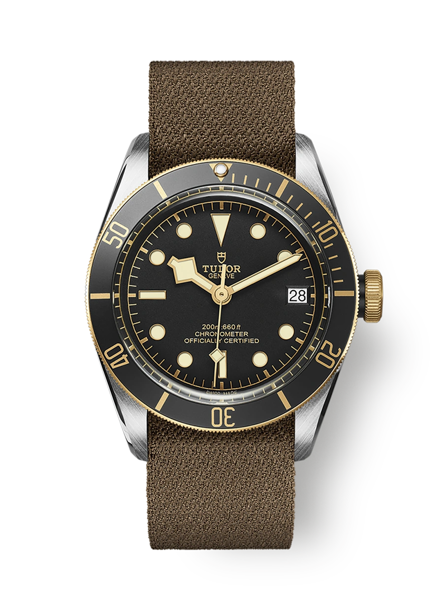 Tudor Black Bay S&G (M79733N-0005)