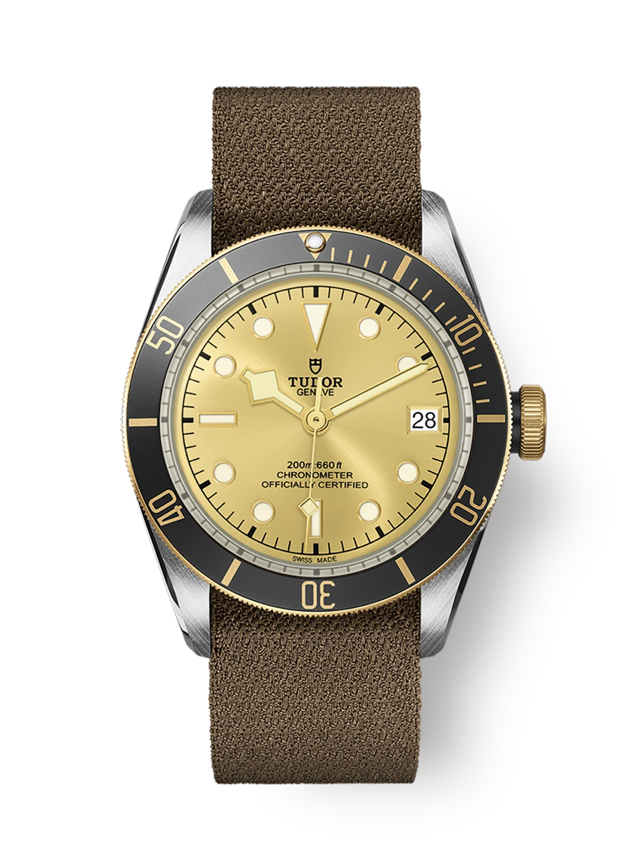 Tudor Black Bay S&G (M79733N-0006)